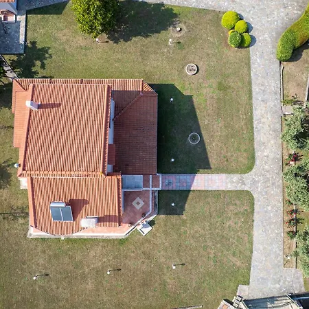 Zeusplace Sunny * Leptokaryá