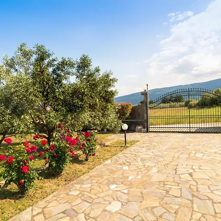 Zeusplace Sunny Villa