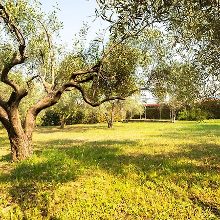 Villa Zeusplace Sunny *