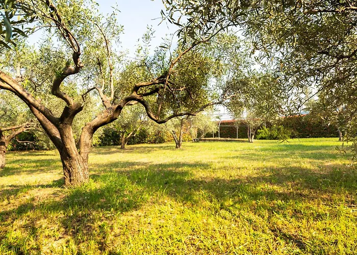 Villa Zeusplace Sunny *